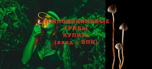 эйфоретик Костерёво