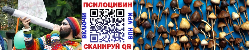 Купить закладки  Дедовск  Псилоцибиновые грибы прущие грибы 